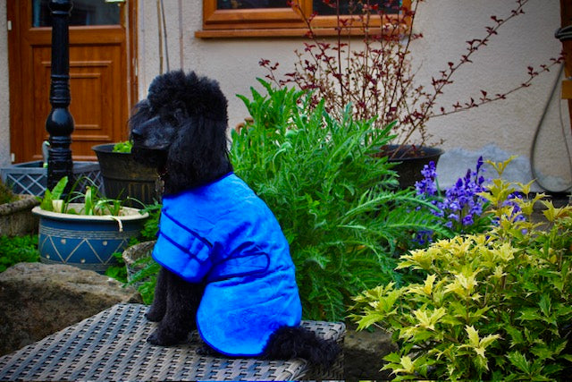 Chiller Cooling Coat