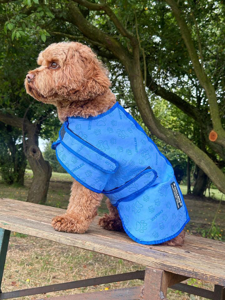 Chiller Cooling Coat