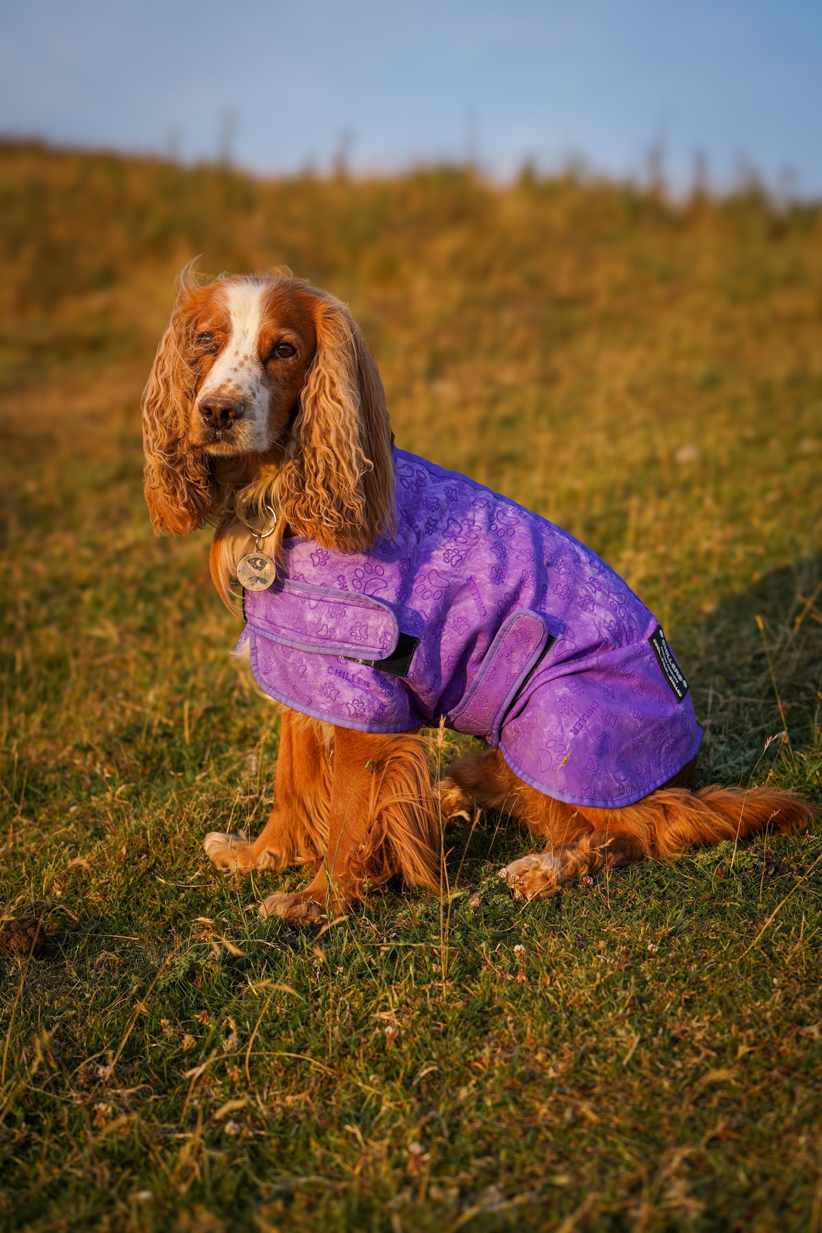 Chiller Cooling Coat