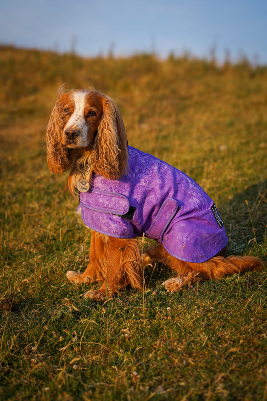 Chiller Cooling Coat
