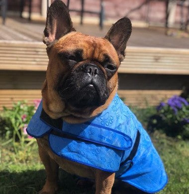 Chiller Cooling Coat